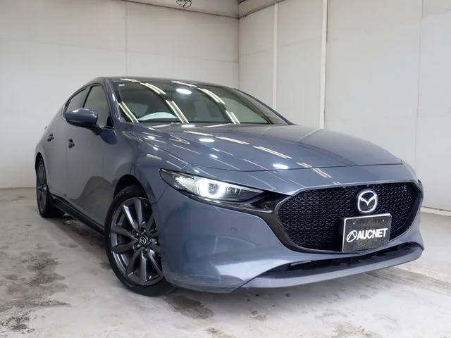 Mazda MAZDA3 FASTBACK 20S　バーガンディセレクション 2019