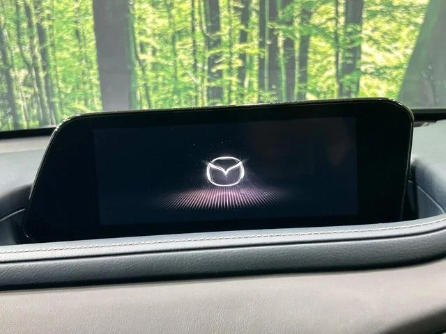 Mazda CX-30 20S　プロアクティブ photo 3