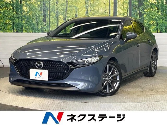 Mazda MAZDA3 FASTBACK 15S　ツーリング 2019