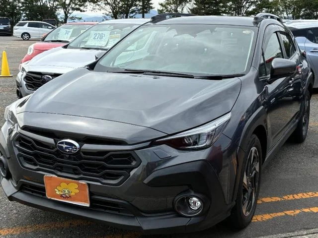 Subaru CROSSTREK リミテッド photo 2