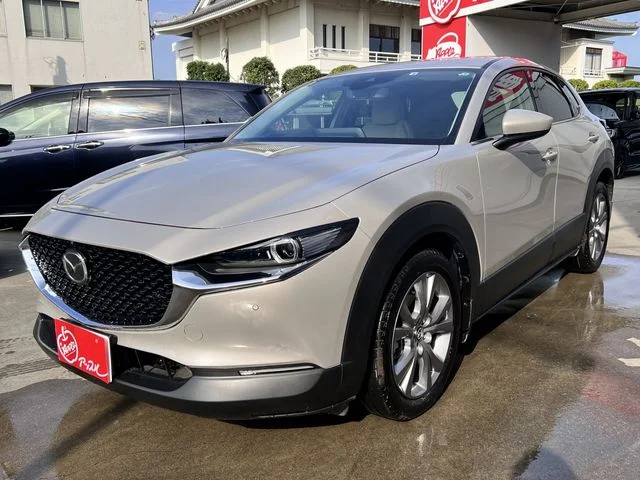 Mazda CX-30 XDプロアクティブツーリングセレクション 2022
