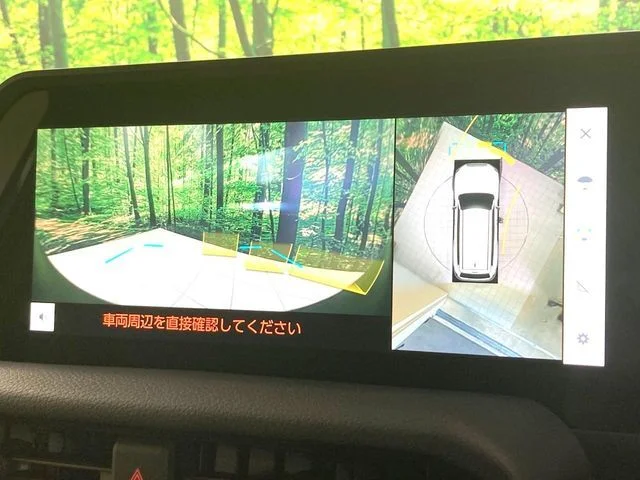 Toyota LANDCRUISER 250 VX　ファースト　エディション photo 4