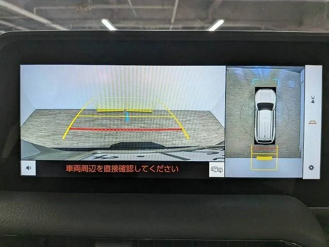 Toyota LANDCRUISER 250 VX photo 4