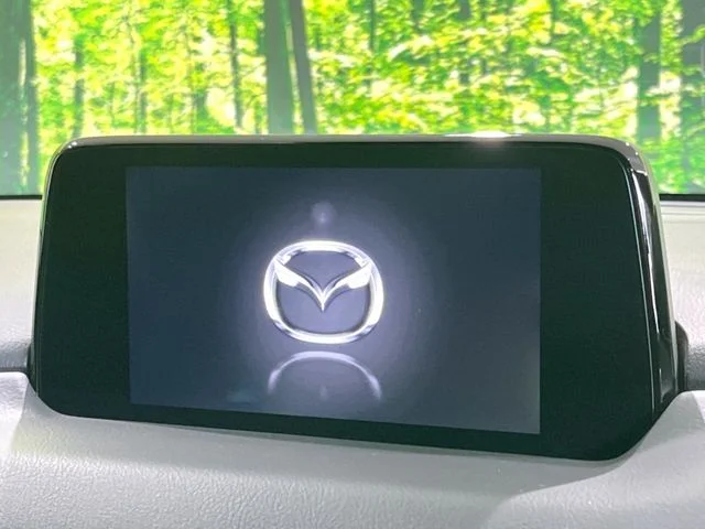 Mazda CX-8 XD　Lパッケージ photo 3