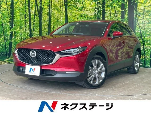 Mazda CX-30 XD　プロアクティブ 2020