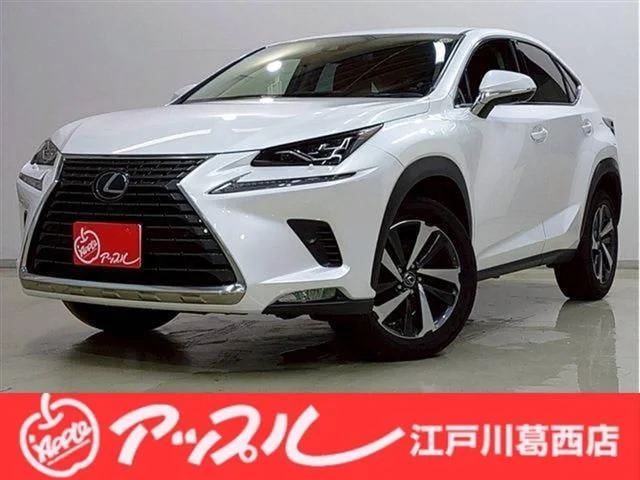 Toyota LEXUS NX300 Iパッケージ 2020