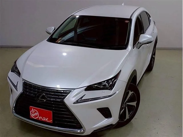 Toyota LEXUS NX300 Iパッケージ photo 2