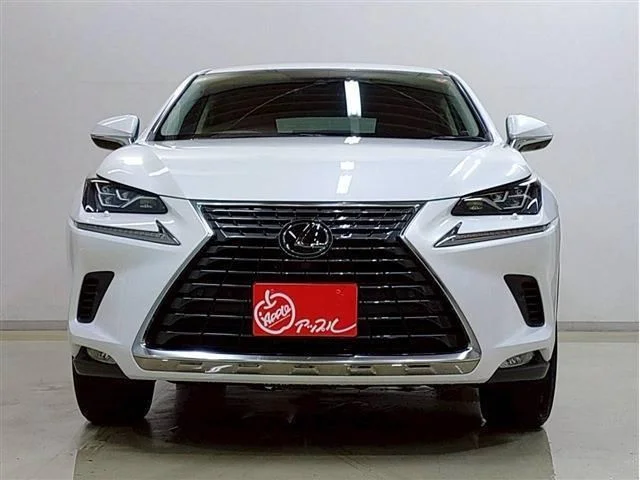 Toyota LEXUS NX300 Iパッケージ photo 3