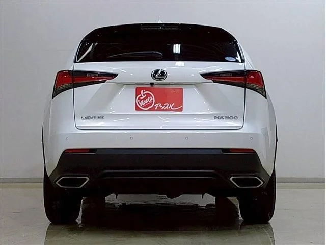 Toyota LEXUS NX300 Iパッケージ photo 4
