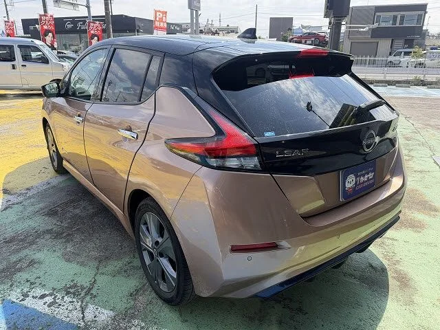 Nissan LEAF アーバンクロム photo 3