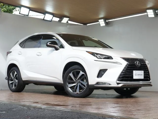 Toyota LEXUS NX300 スパイス＆シック 2020