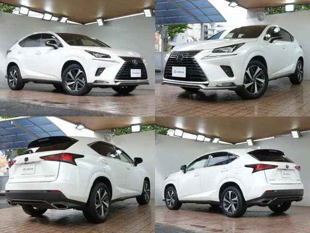 Toyota LEXUS NX300 スパイス＆シック photo 3