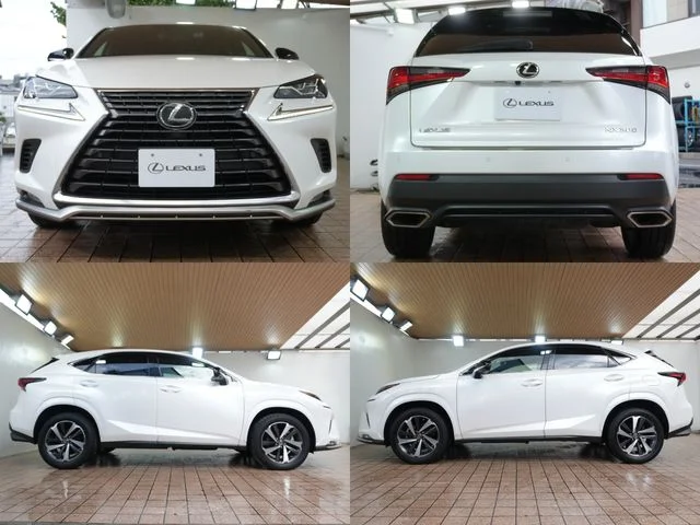 Toyota LEXUS NX300 スパイス＆シック photo 4