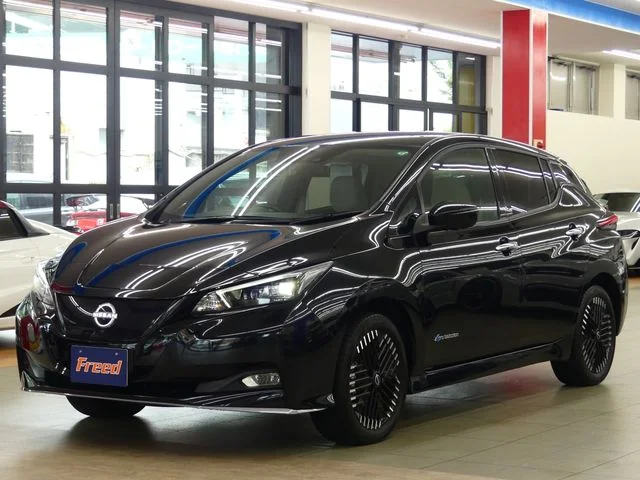 Nissan LEAF e＋　G 2024