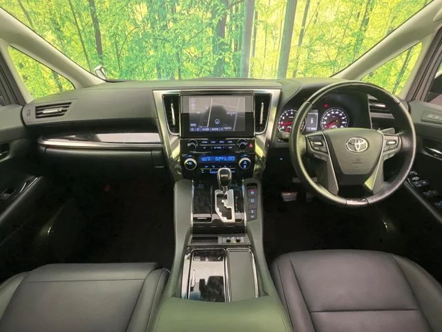 Toyota ALPHARD S　Cパッケージ photo 2