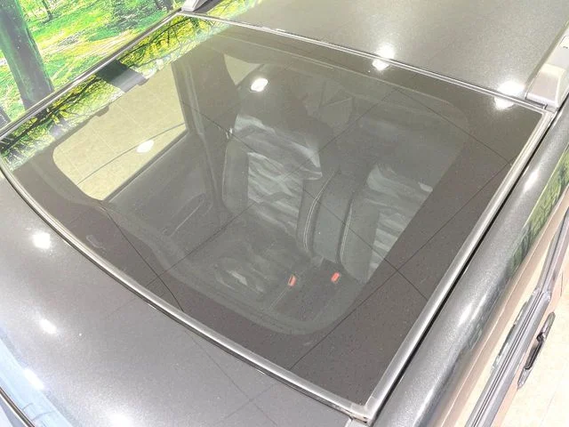 Daihatsu TAFT G　ダーククロムベンチャー photo 3