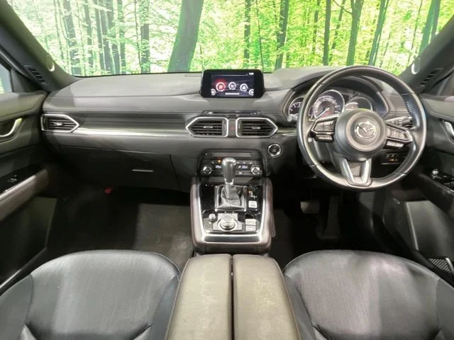Mazda CX-8 25S　プロアクティブ photo 2