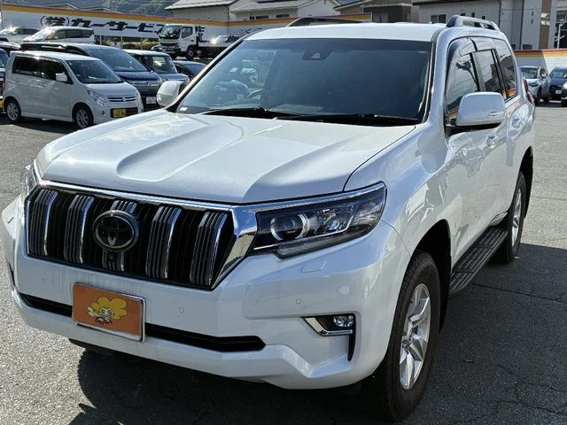 Toyota LANDCRUISER PRADO TX photo 2
