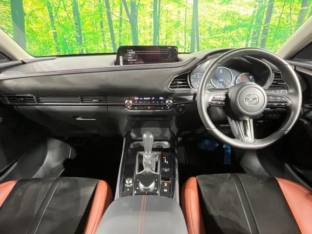 Mazda CX-30 20S　レトロスポーツエディション photo 2