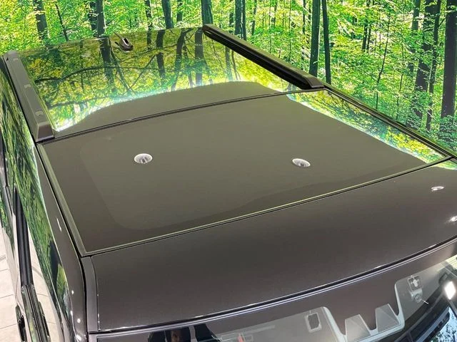 Daihatsu TAFT Gターボ　ダーククロムベンチャー photo 3