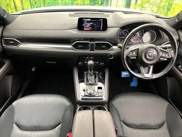 Mazda CX-8 XD　プロアクティブ photo 2