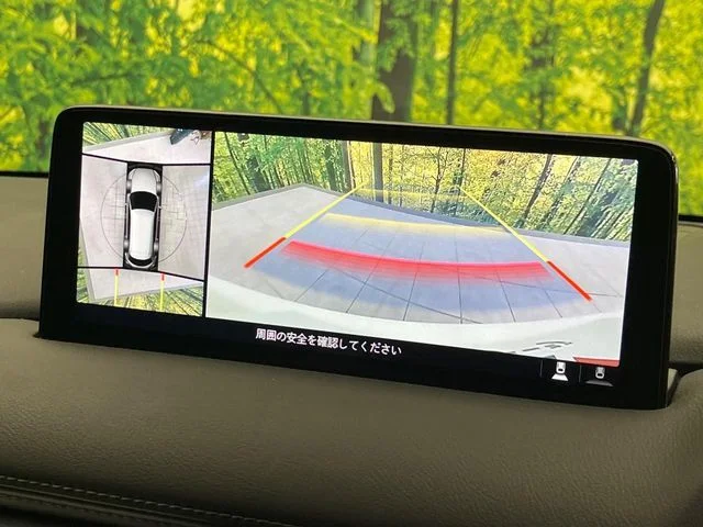 Mazda CX-8 25S　ブラックトーンエディション photo 4