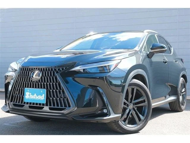 Toyota LEXUS NX250 バージョンL 2023