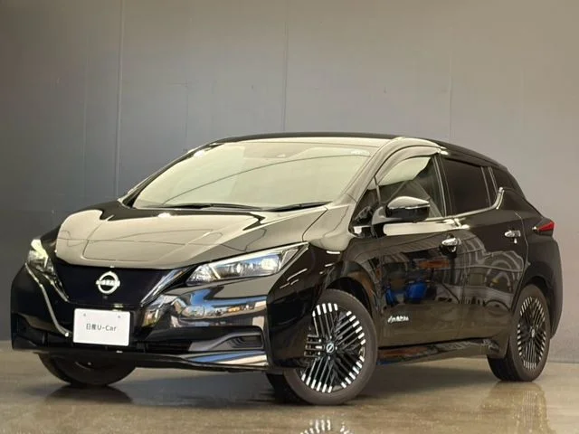 Nissan LEAF X　Vセレクション 2024