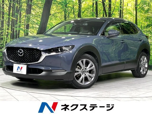Mazda CX-30 20Sプロアクティブツーリングセレ4WD 2020
