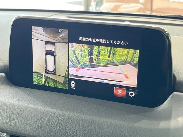 Mazda CX-8 XD　プロアクティブ photo 4