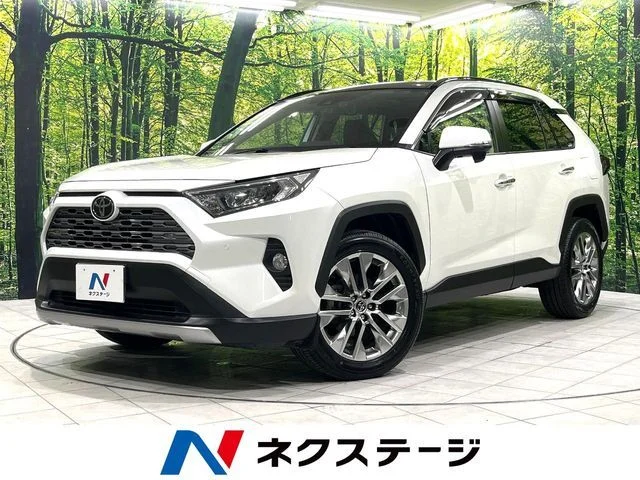 Toyota RAV4 4WD G　Zパッケージ 2019
