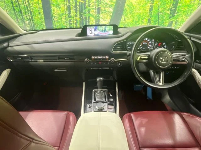 Mazda CX-30 20S　100周年特別記念車 photo 2