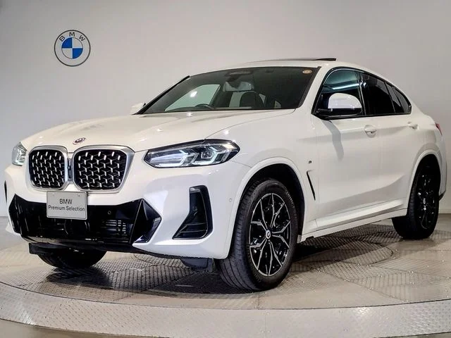 Bmw BMW X4 xDrive20d 2023