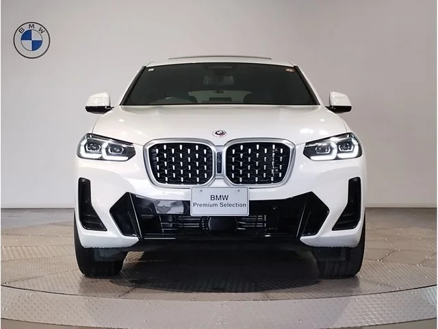 Bmw BMW X4 xDrive20d photo 4