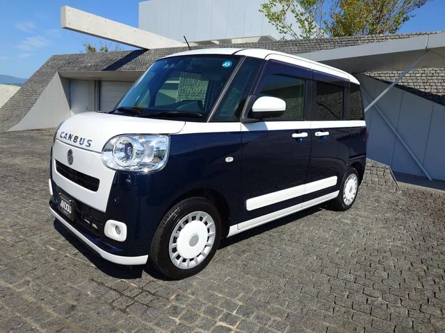 Daihatsu MOVE canbus ストライプス　G photo 2