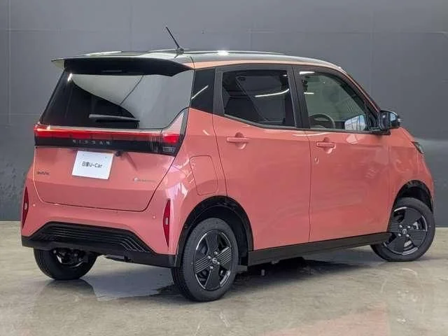 Nissan SAKURA X photo 4