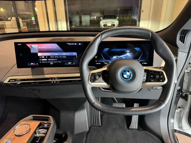 Bmw BMW iX xDrive40 photo 2