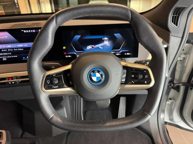 Bmw BMW iX xDrive40 photo 3