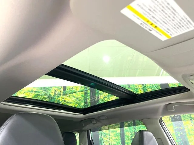 Nissan X-TRAIL 4WD 20XiレザーエディションVセレクション photo 3