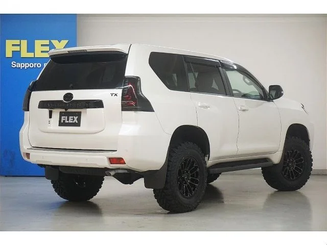 Toyota LANDCRUISER PRADO TX photo 3
