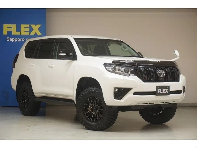Toyota LANDCRUISER PRADO TX photo 4