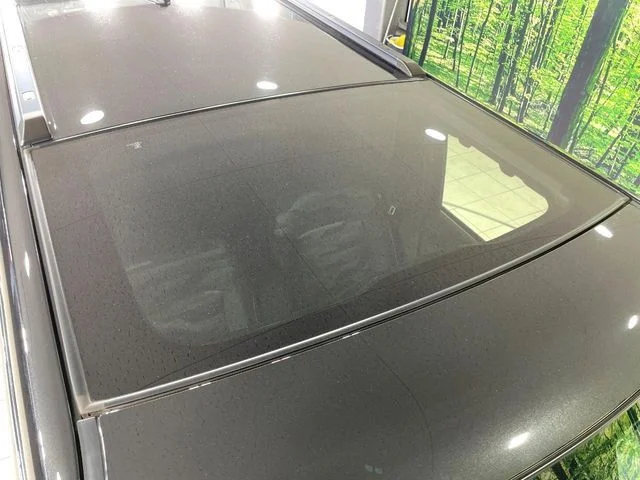 Daihatsu TAFT Gターボ photo 3