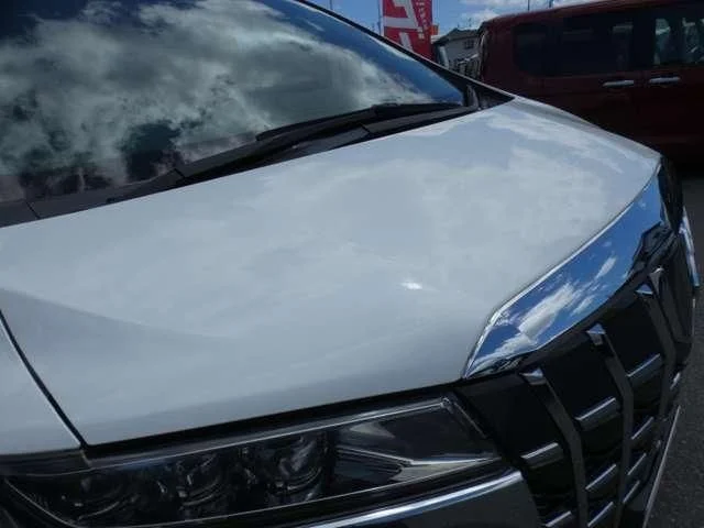 Toyota ALPHARD 4WD SC photo 4