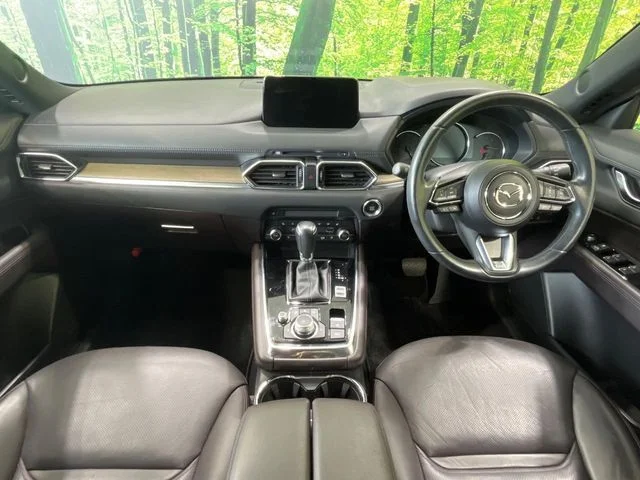 Mazda CX-8 25S　Lパッケージ photo 2