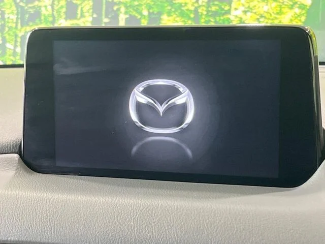 Mazda CX-8 25S　Lパッケージ photo 3