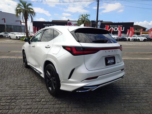 Toyota LEXUS NX350h バージョンL photo 3