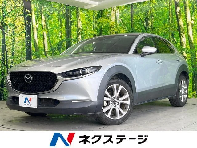 Mazda CX-30 20S　プロアクティブ　ツーリングセレク 2019