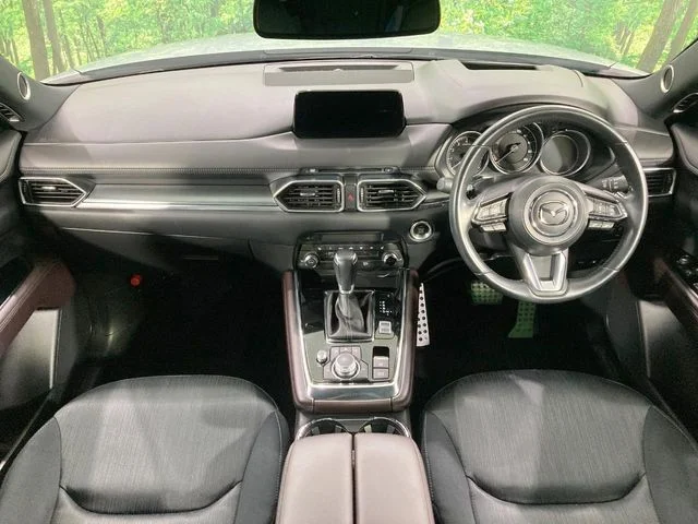 Mazda CX-8 25S　プロアクティブ photo 2