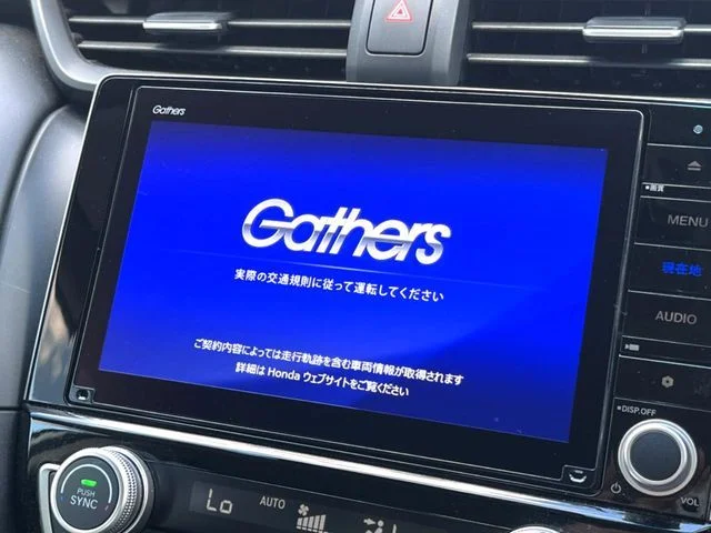 Honda INSIGHT sedan EX photo 4