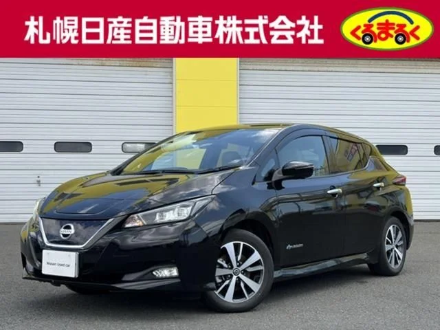 Nissan LEAF X 2020